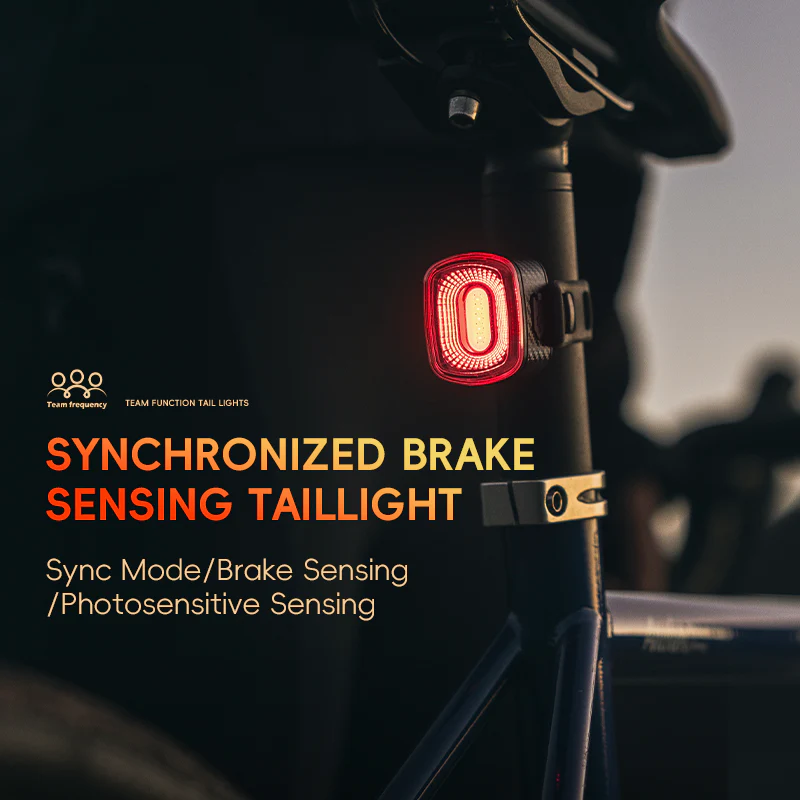 R1/R4 Tail Light Brake sensor USB-C Synchronized - Image 6