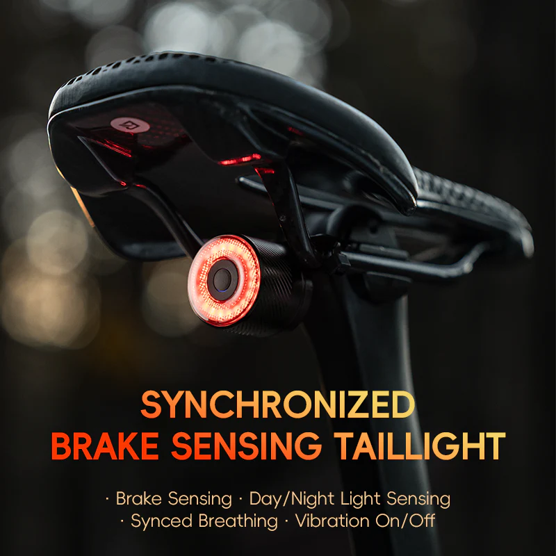 R1/R4 Tail Light Brake sensor USB-C Synchronized - Image 7