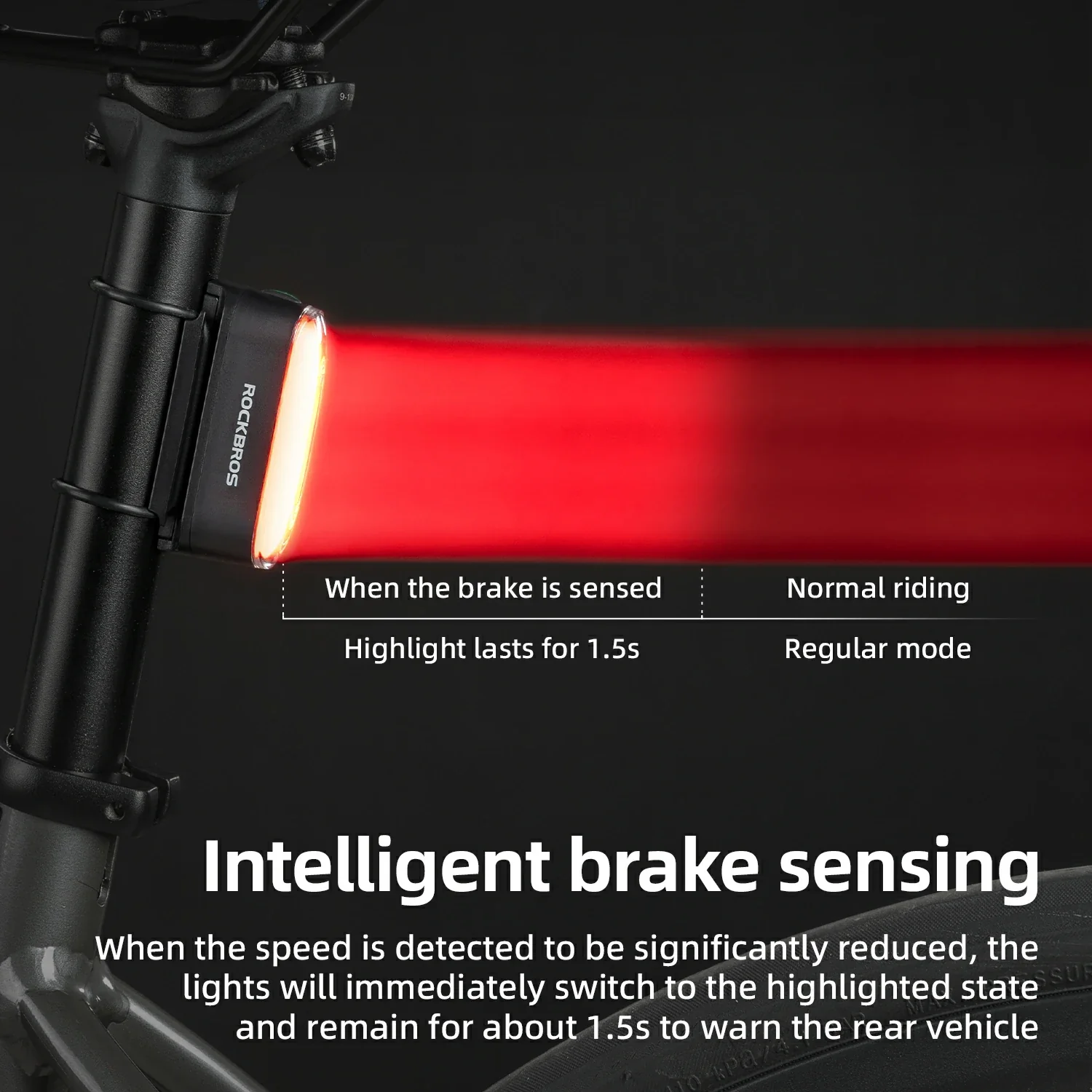 Magnetic Tail Light Brake Sense USB-C - Image 4